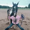 haileyishorse11