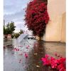 minahil.arooj4