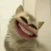 nhongc7