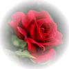 mariamendoza8451