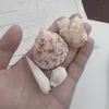 dhalee_
