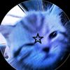 rin_cat7