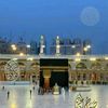 talatmehmood892