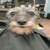 blnandtheboyshaveused