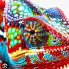 epulcjou420