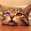 me_nonotnot