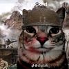 arkan.mewing2