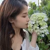 ntnvy94_tn