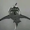 skrebutisofficial