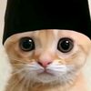 denzzzzzzzz055