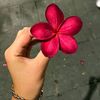 md.asraful.alam24