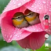 nguyn.thanh.lm216