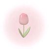 nashwa_aaaa