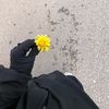 _tholabulilm