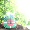 Emper Country