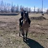 123_kwx