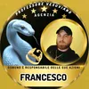 francesco.19905