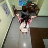 jing_ling77