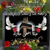 user68516270628506