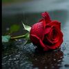 aasha_khan5678