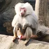 lasse_r09