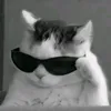 hadjirimando4