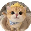 jeoffadrianfabrillo5
