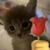 leettg12_3