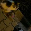 _userr__013