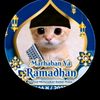faris.haidar8