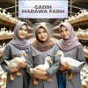 Gadih Marawa Farm
