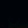 joff.12308