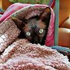 alessia_stitch27