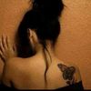 user1221537162623