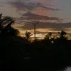 thubmx1