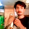 jhangirbloxh