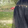 dnya.surchii