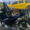 taro_733