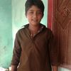 ali.hadar5272