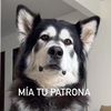juan.condori.apaz4