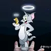 .rsw31