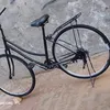 وحش