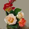 souad.nasri3