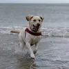 eoghan198