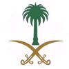 nadinalghamdi