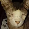 nannycat51