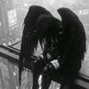 user8274490119384