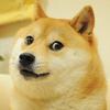 doge_game1