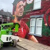 anfieldflex