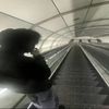 rye_ontop